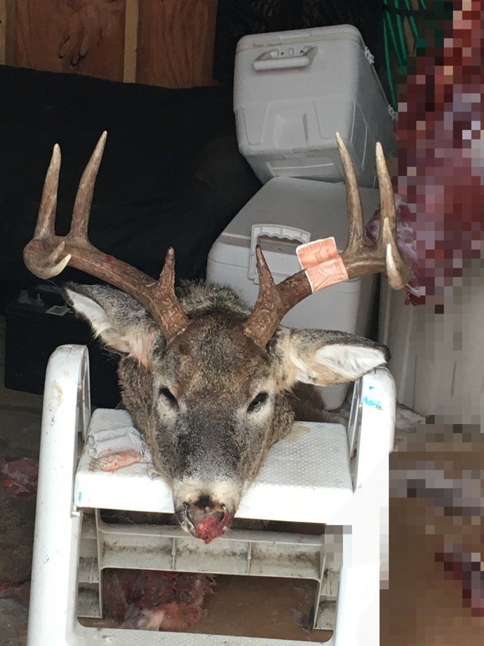 10 Point Trophy Buck and First Customer To Report His Harvest Using Estrus Max in North Dakota