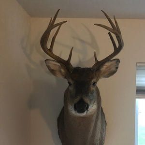Huge 10 Point Buck Taken Using Buck Baits ATA Approved Urine