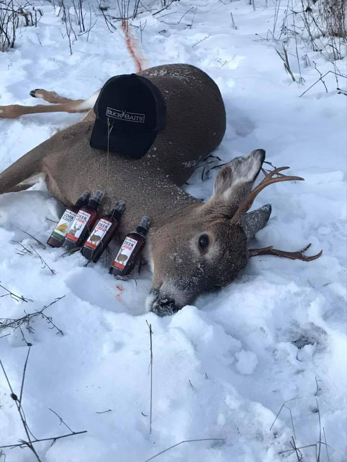 Opening Day Success For Buck Baits Pro Staff  5 point Buck in 14 inches of snow!