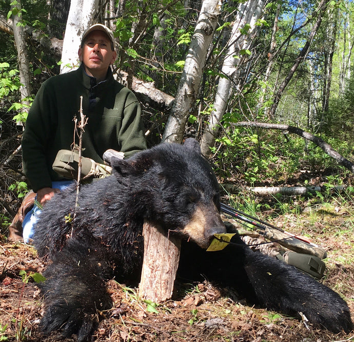 Black Bear ..Archery Season