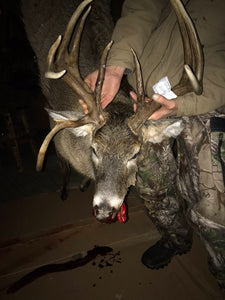 Mr Drop Tine Make it a 3-PEAT |  Wade Family Harvests 12 Point  Trophy Buck Using Buck Baits Estrus Max